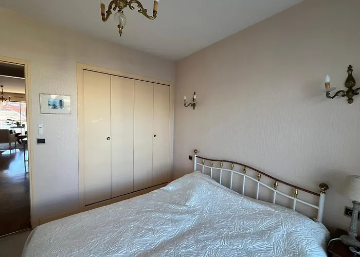 Arcachon: T2 Bis Proche Centre Et Avec Parking - Fr-1-319-595 Lejlighed Arcachon